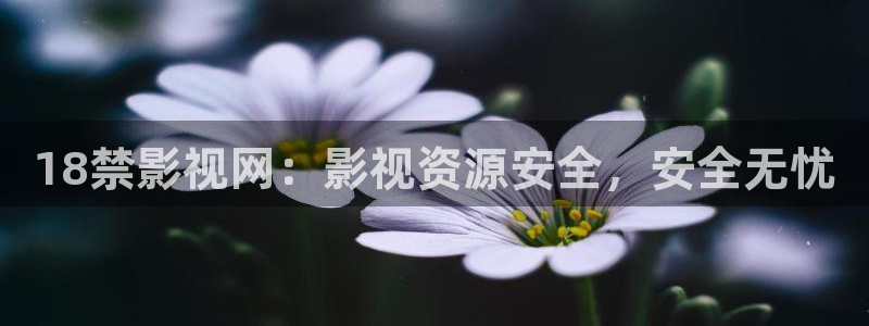 ww6080